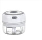 Mini Electric Garlic and Vegetable Chopper